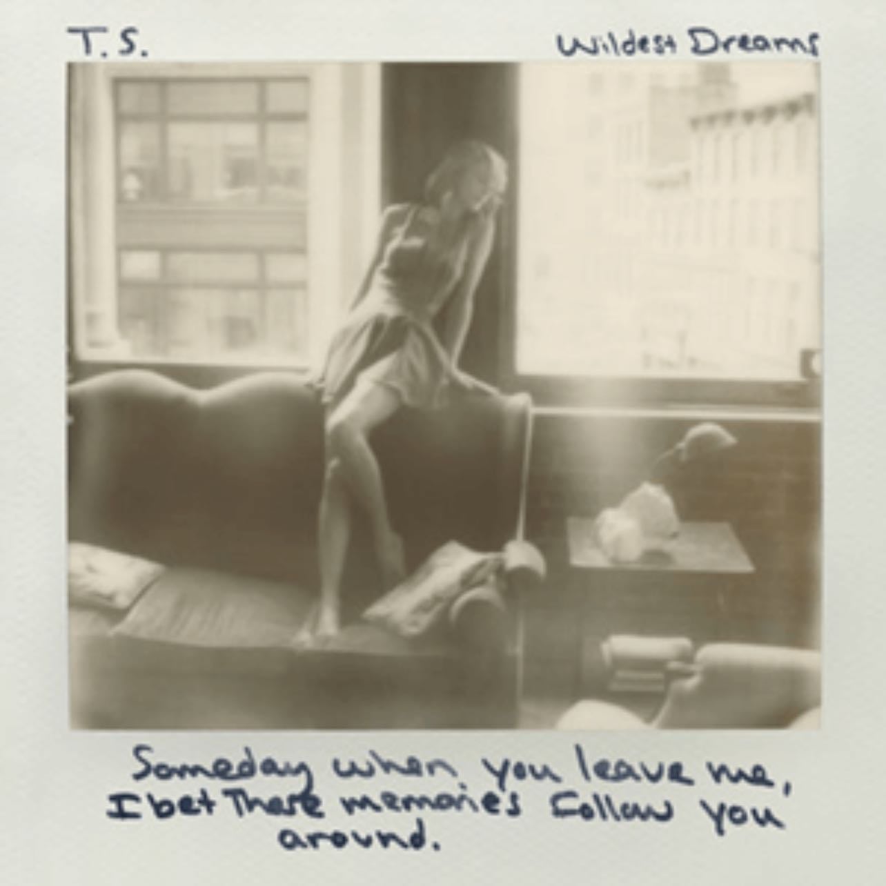 Wildest dreams - Fav lyric: his hands are in my hair his clothes are in my room.