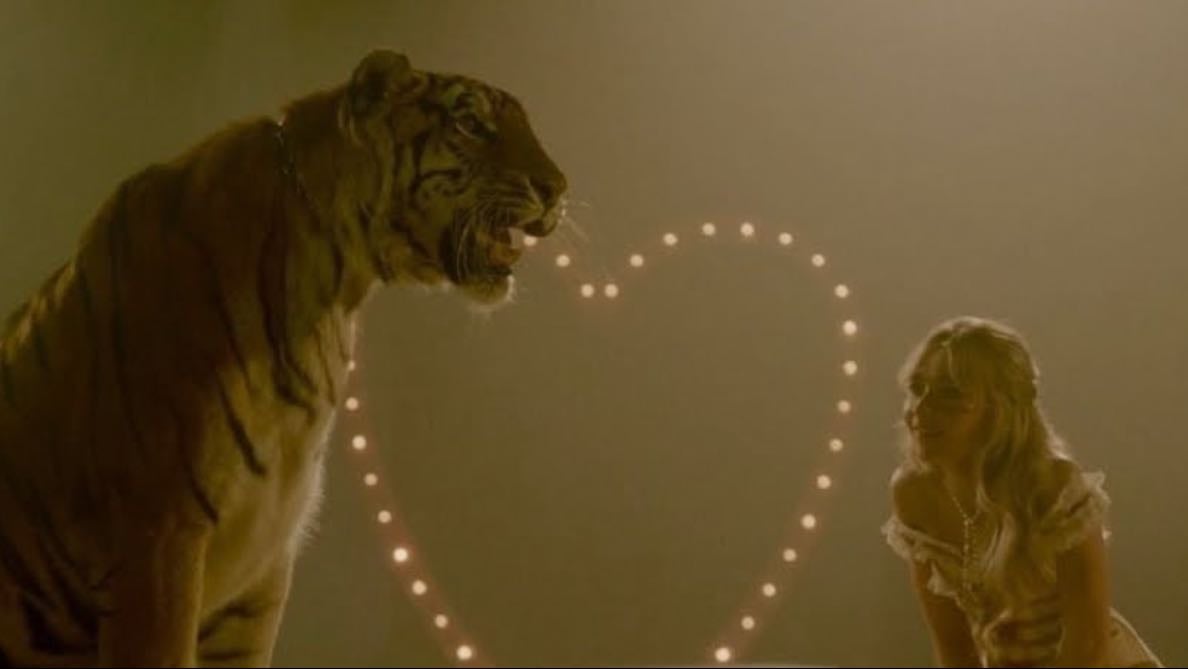 Because I liked a boy - Best music video