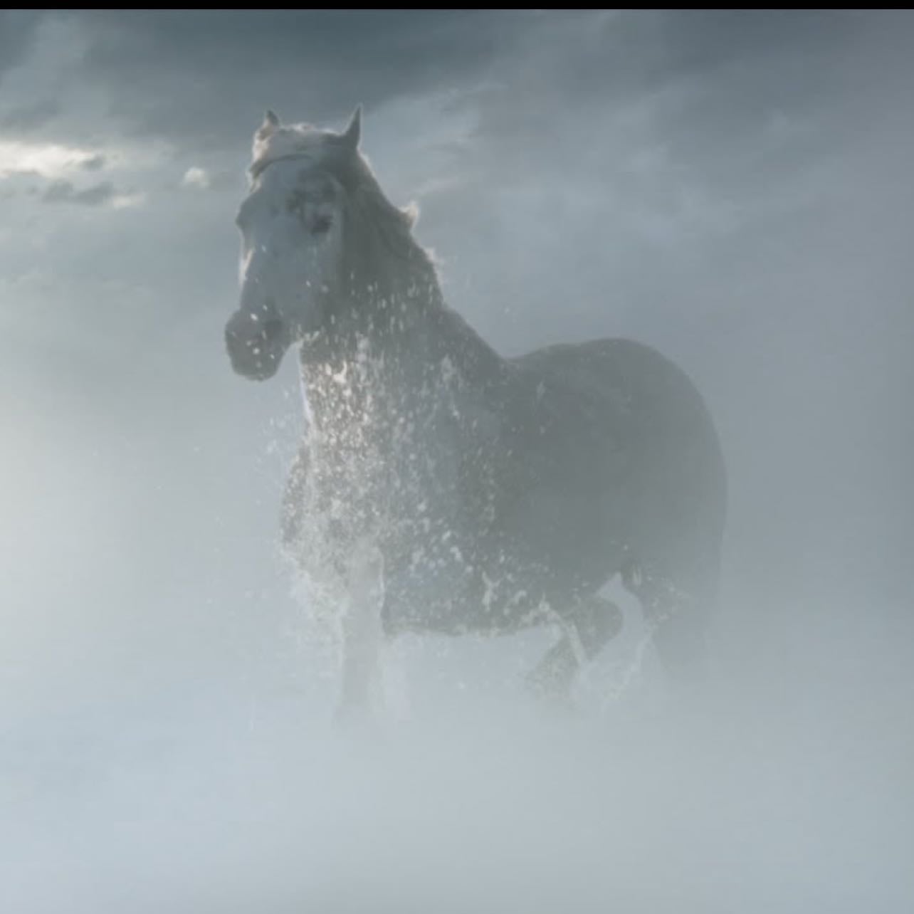 White horse - Fav lyric: I gonna find someone someday who might actually treat me well