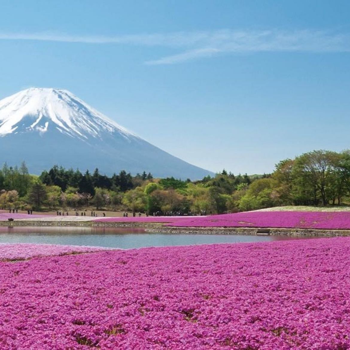Monte Fuji