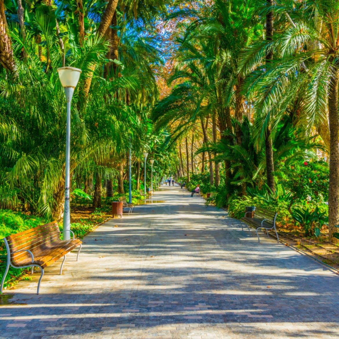 Paseo del parque - Turisteo en Málaga