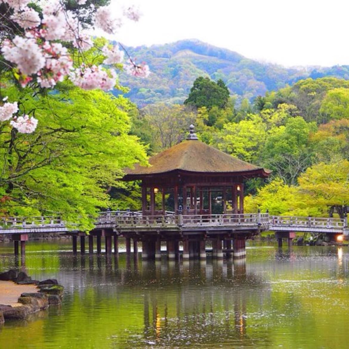 Nara