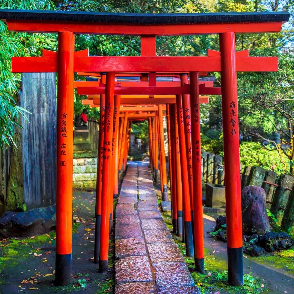 Nezu Shrine
