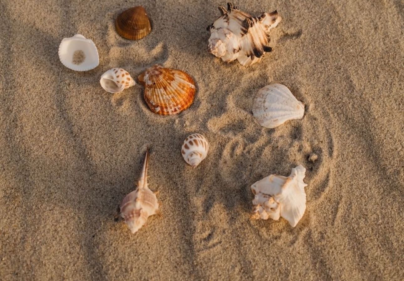 beach outfits βοΈπ