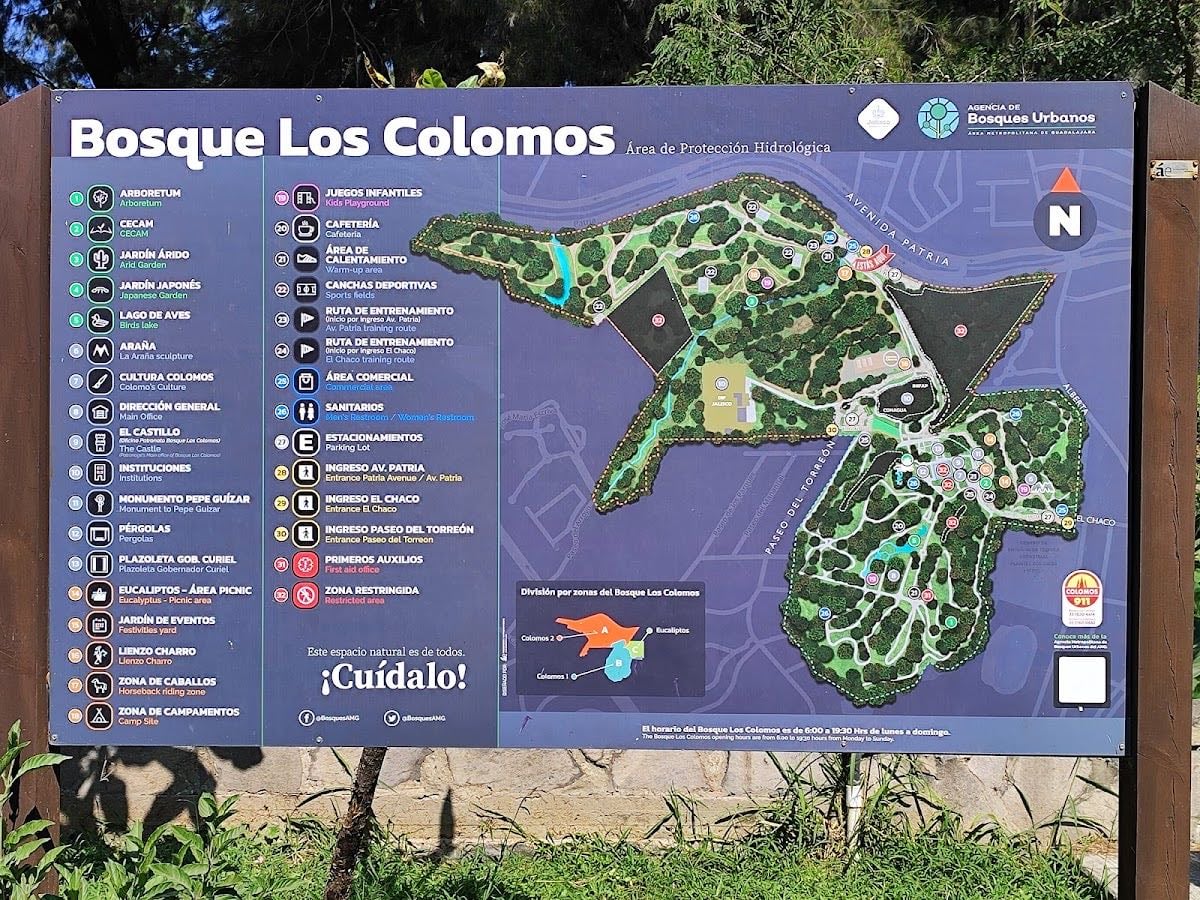 Bosque Los Colomos - Todas las áreas del bosque están hermosas pero el jardín japonés 🤌🏻