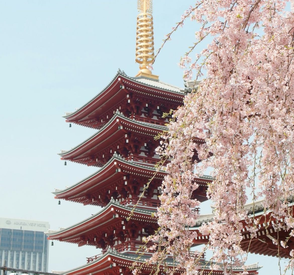 Japon pon - Places hypelist by Belka