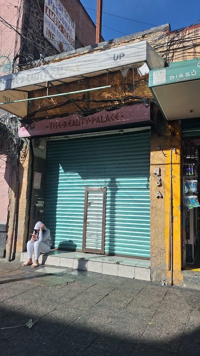 The Beauty Palace