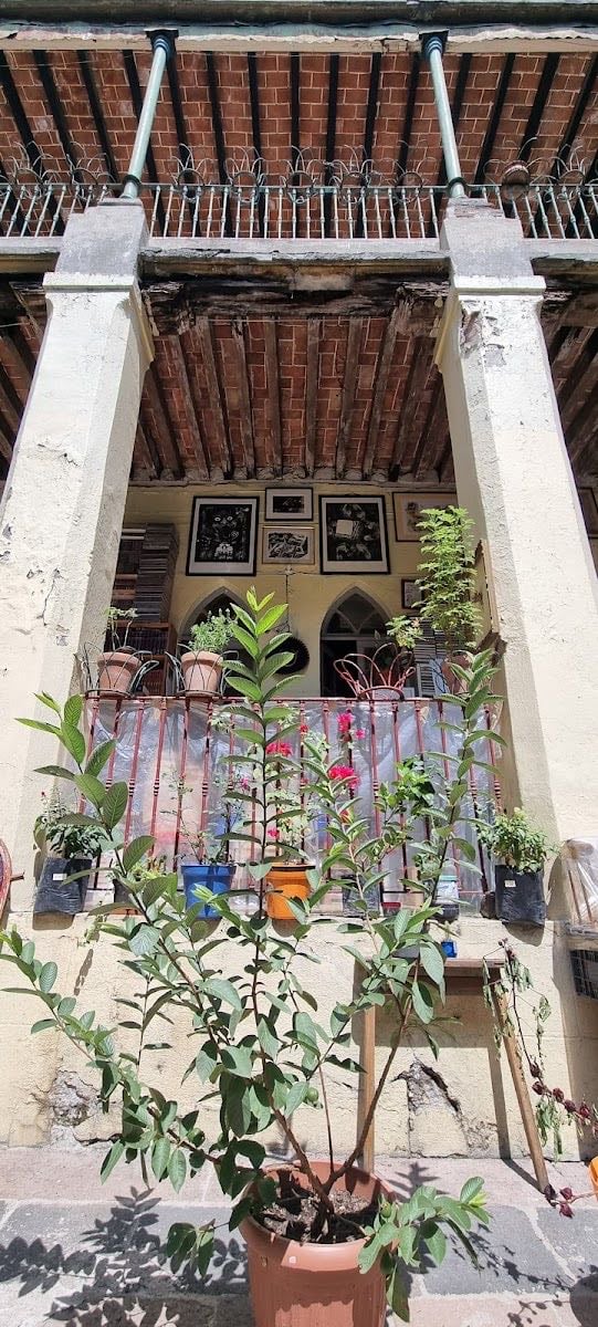 Librería Niña Oscura