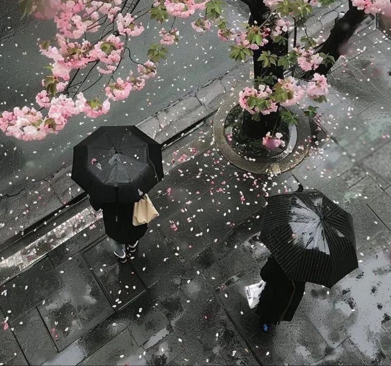 kdramas - Movies hypelist by andrea murguia