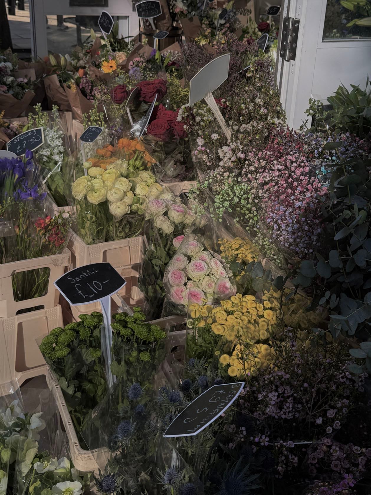 Columbia Road Flower Market - head on sundays at 2 pm for discounted flowers and plants