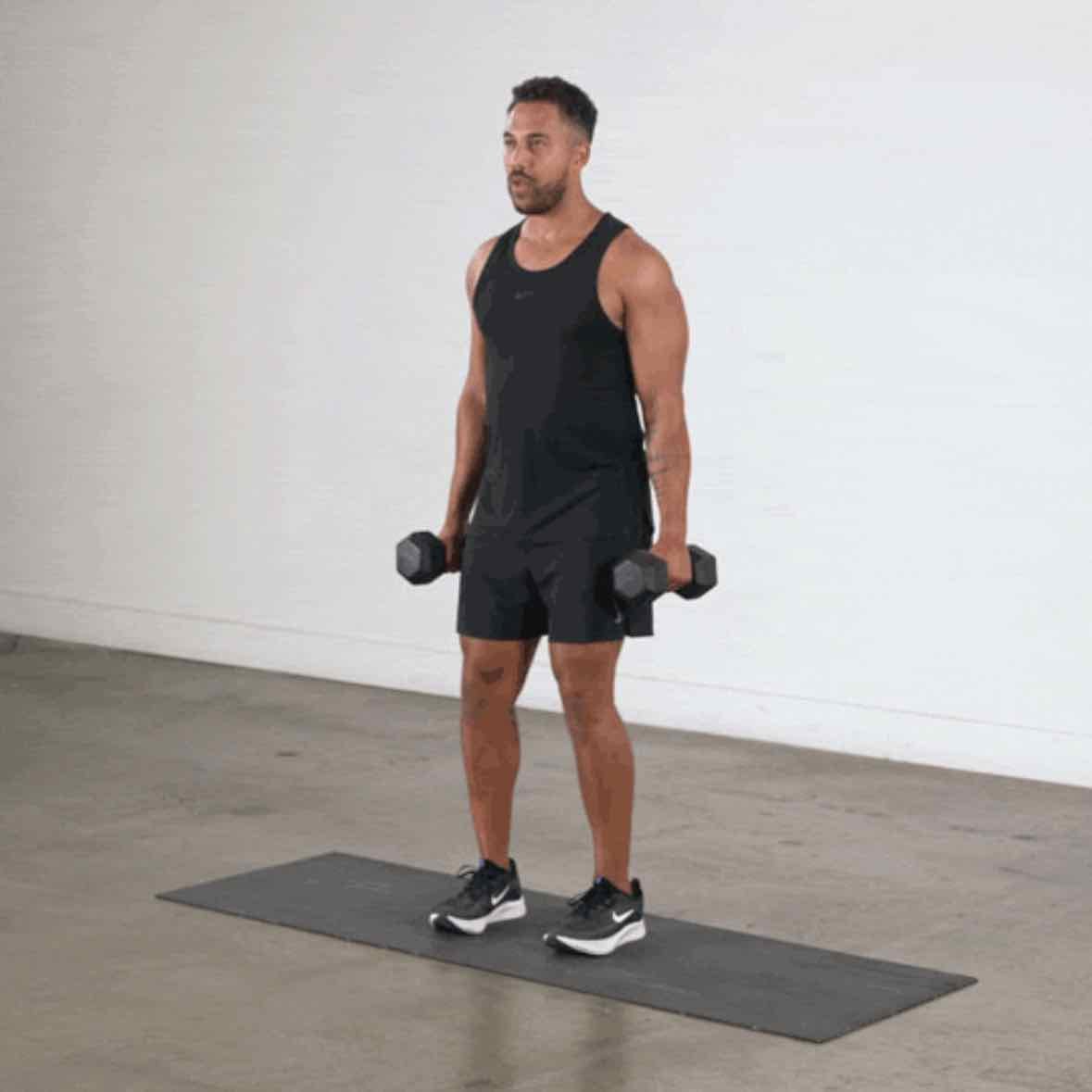 Dumbbell Biceps Curl - Biceps