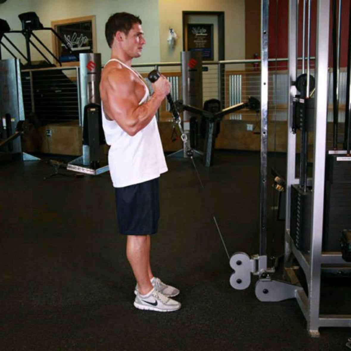 Hammer Curl with Pulley / Triceps Pulley Extension - Biceps