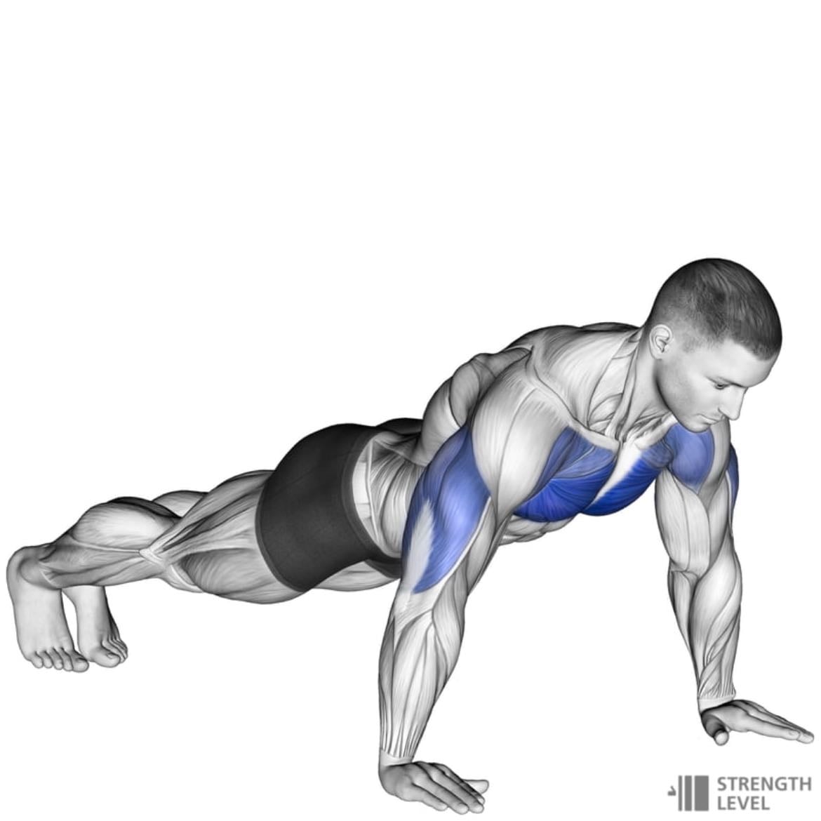 4. flexions
