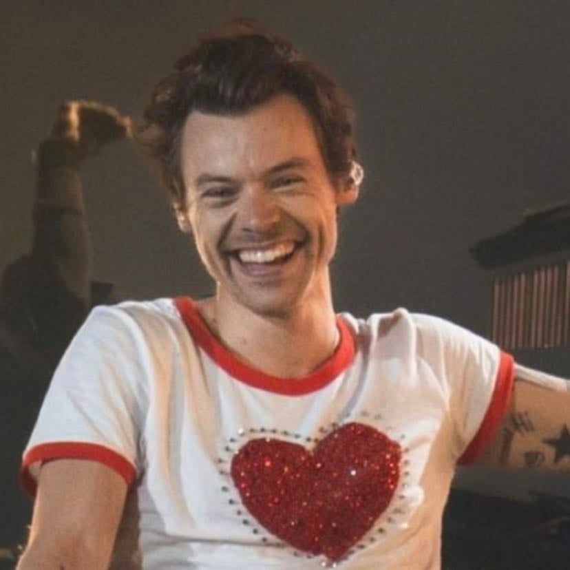 Harry Styles - The reason I love him so much is he literally has the kindest soul ever, he reminds everyone to be kind and to spread love. He makes me so happy, I need to see him live!! his music is so amazing he has soo many different types of songs and they are all so unique In their own way. He’s just so amazing, I don’t know why anyone wouldn’t love him!✨
