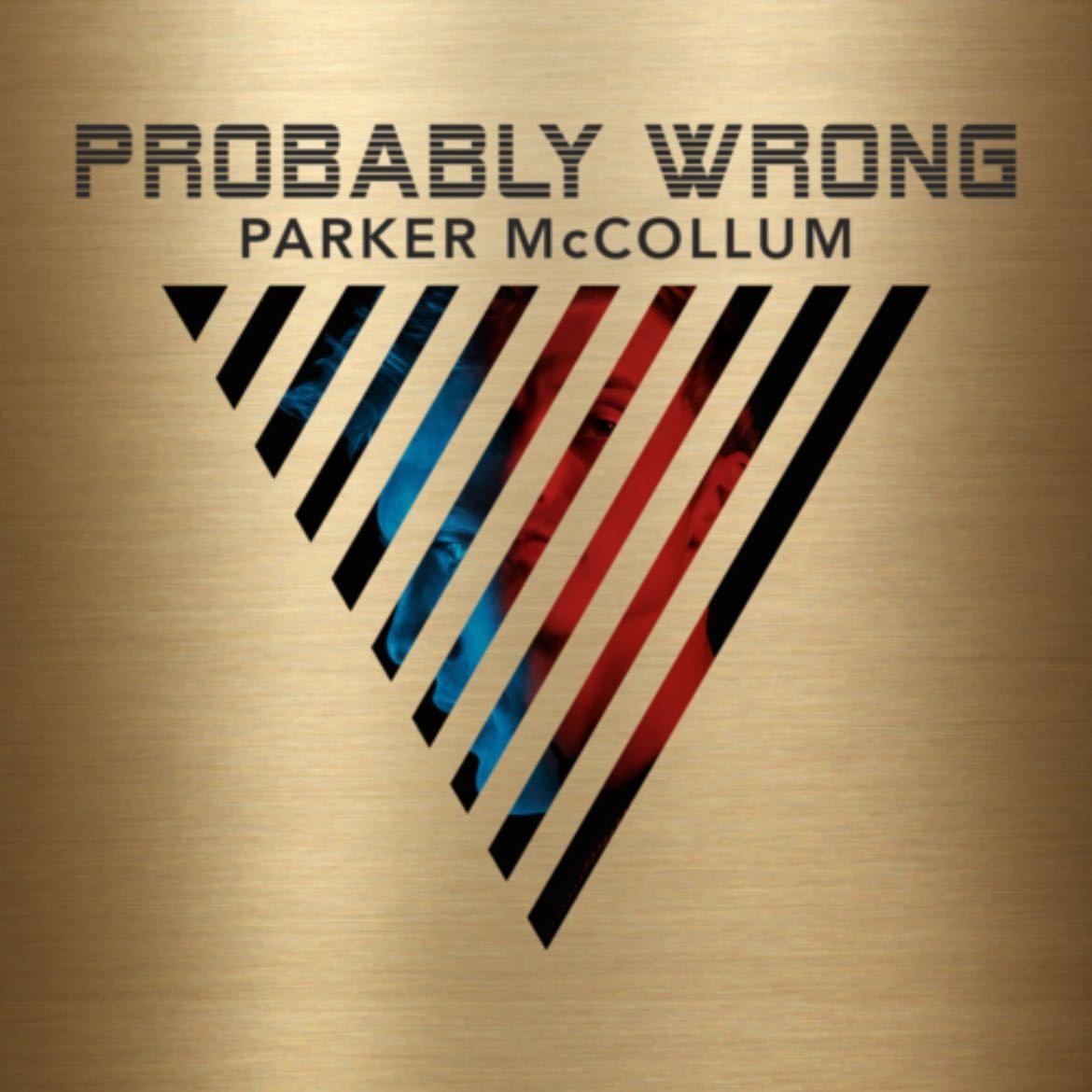 Learn To Fly - Probably Wrong