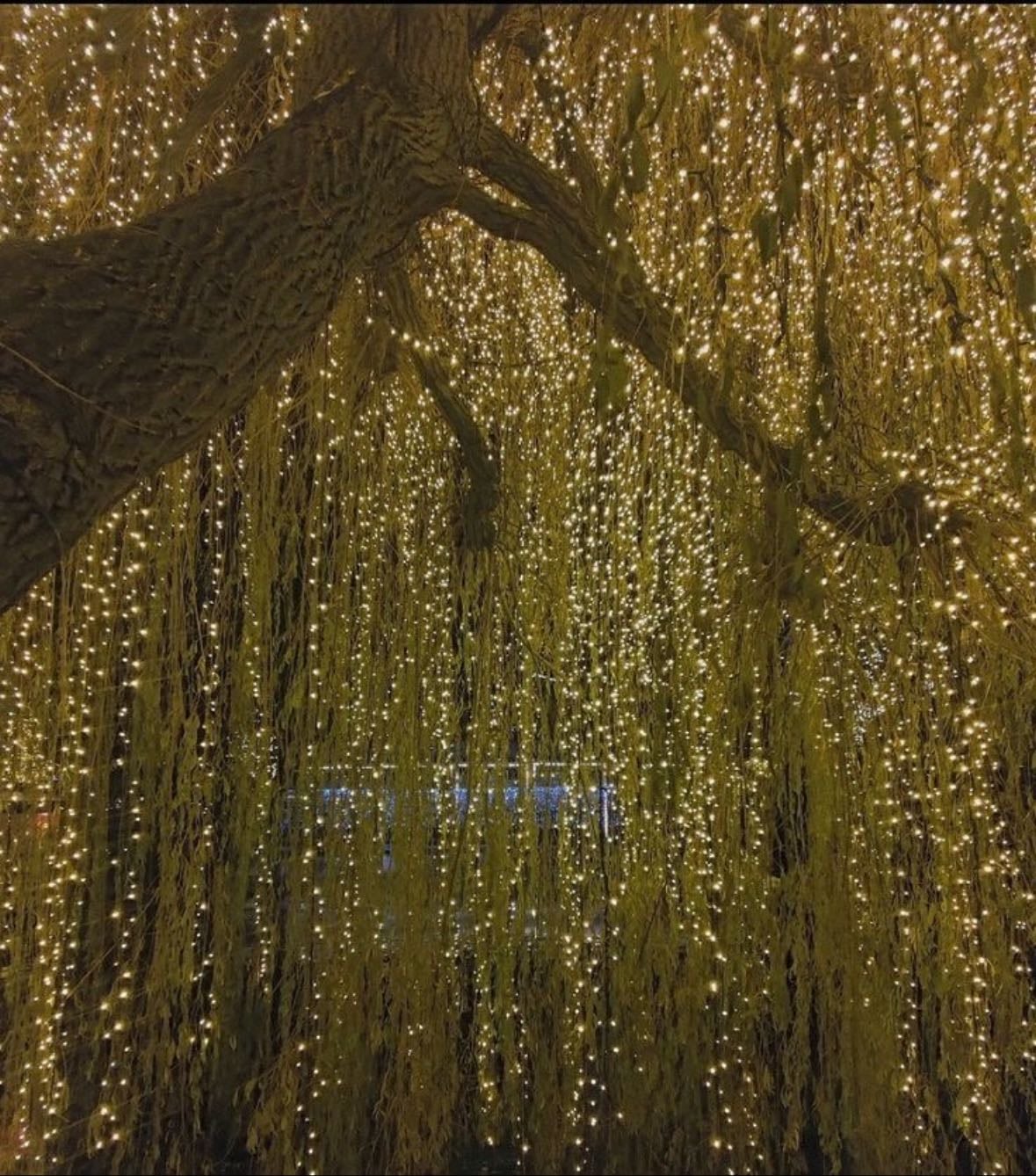 Willow Tree Alter
