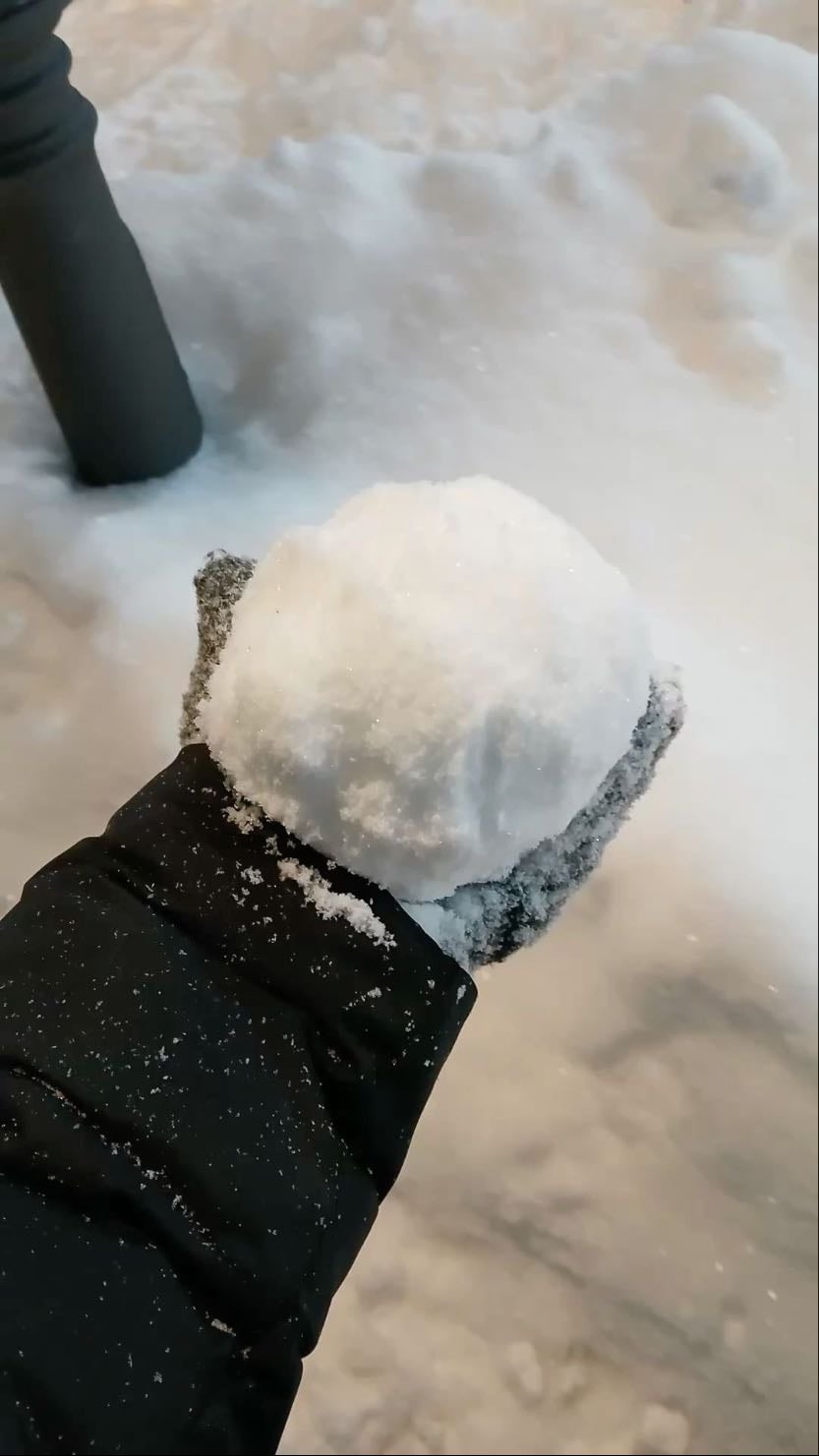 Snowball fight ๐จ๏ธ