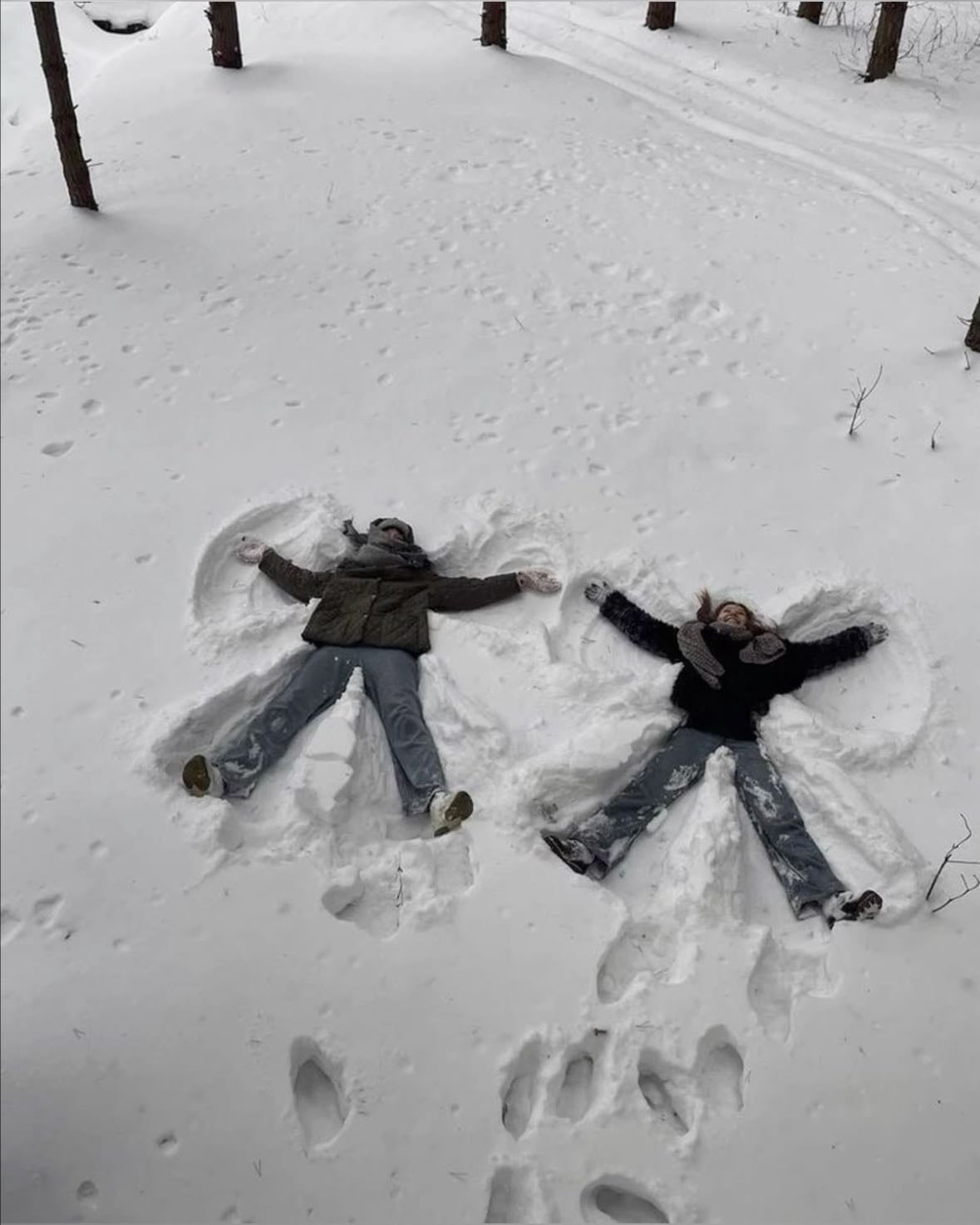 Make snow angels ๐ผ