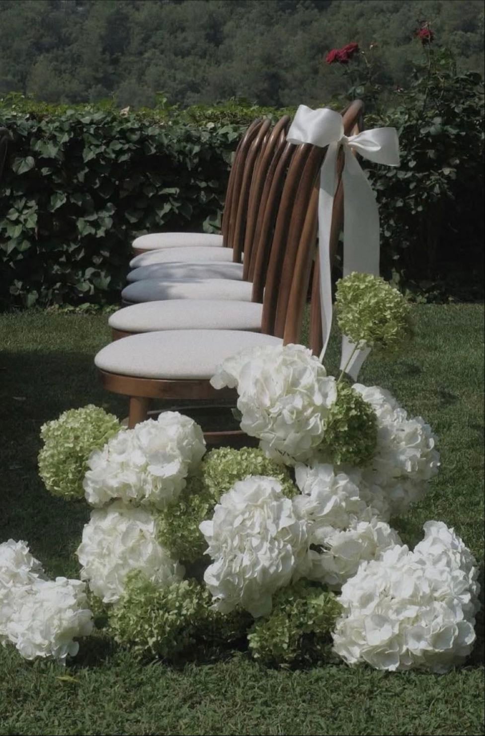 Hydrangea & carnations