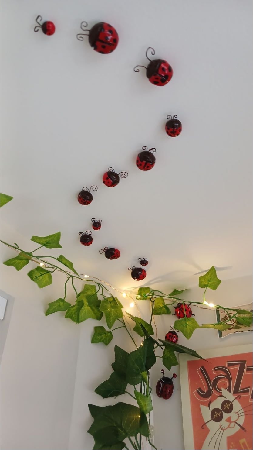 ladybug ceiling decor