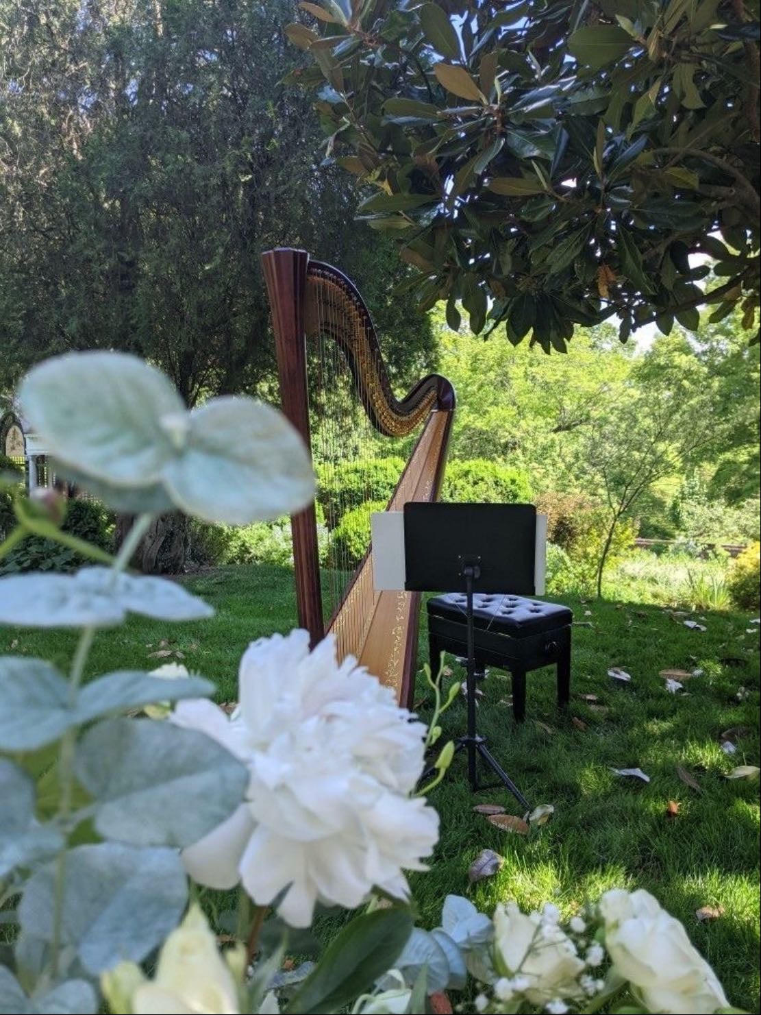 Live music