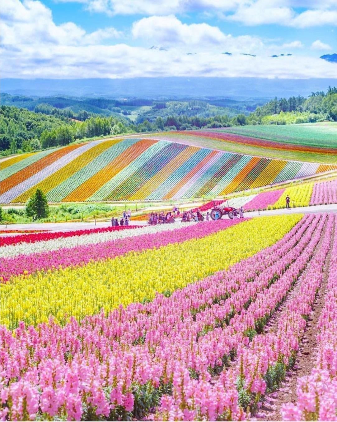 Hokkaido, Japan