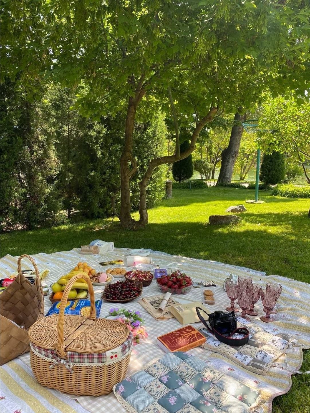 picnic outing 🧺