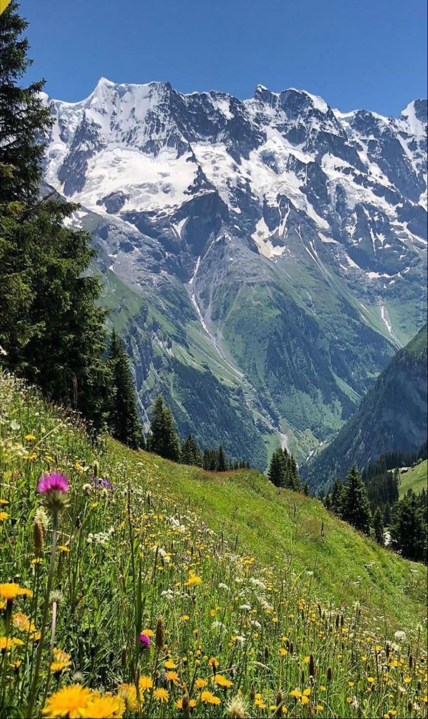 Alps