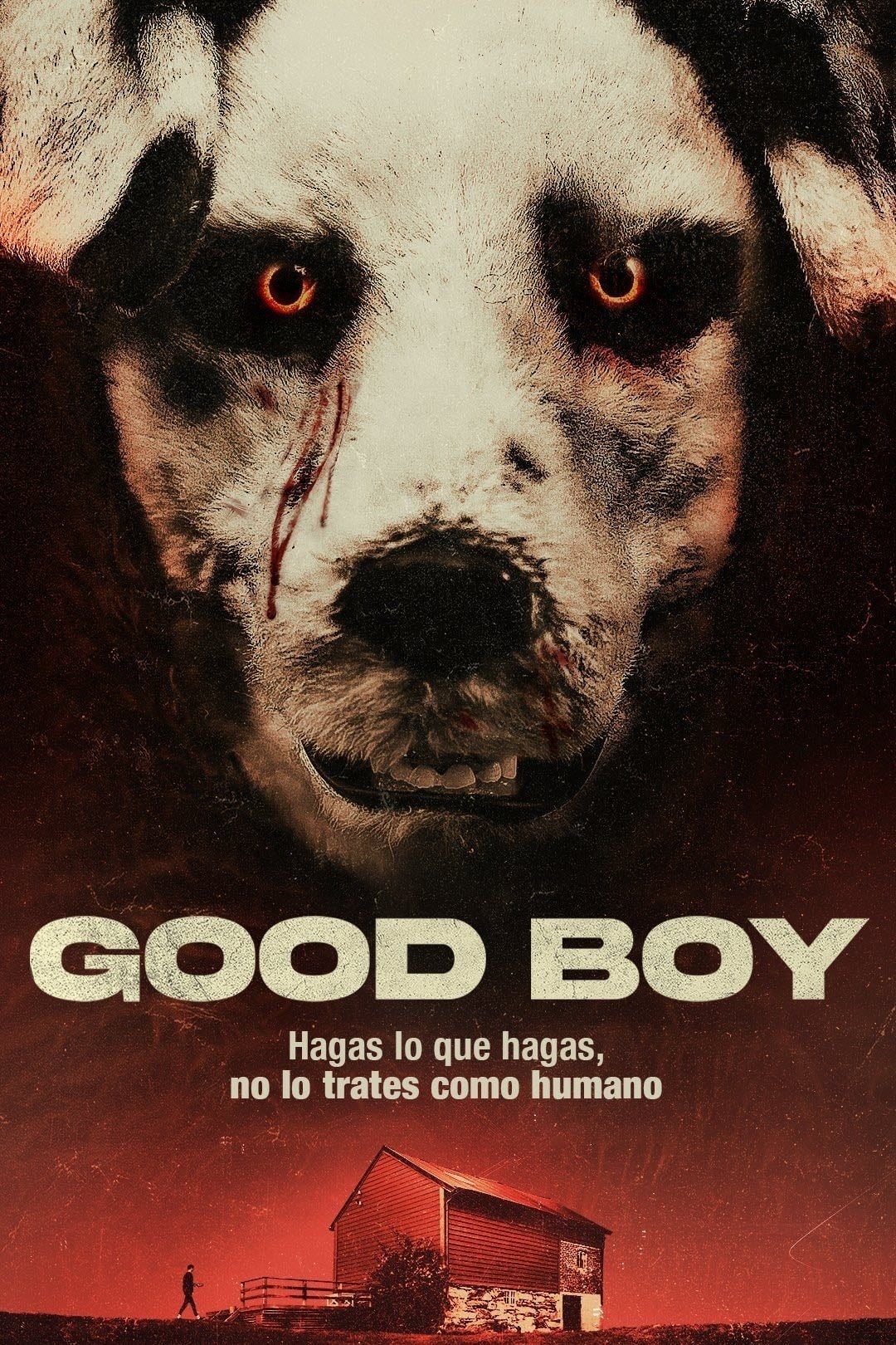Good Boy - Viljar Bøe · 2022