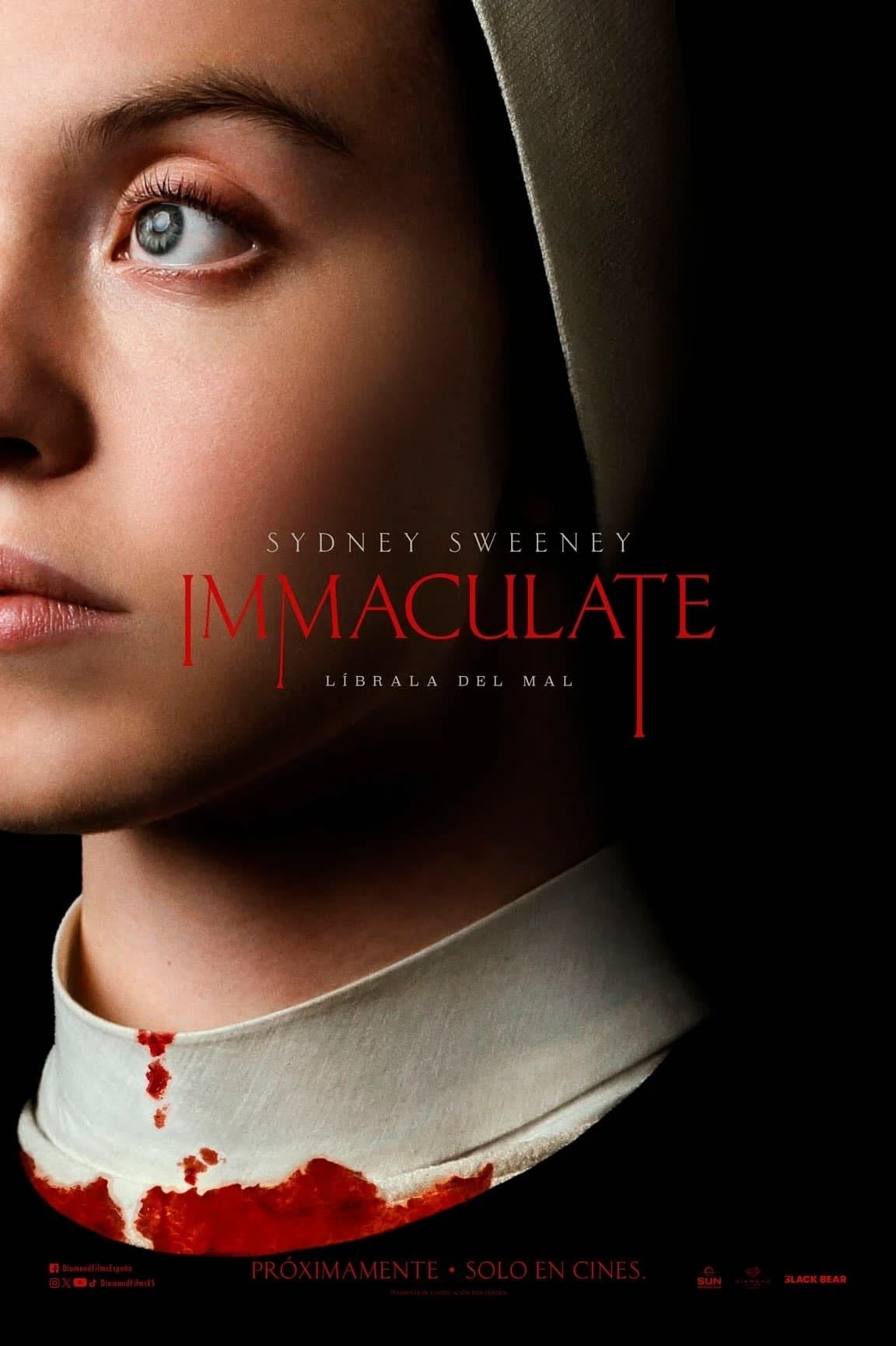 Inmaculada - Michael Mohan · 2024