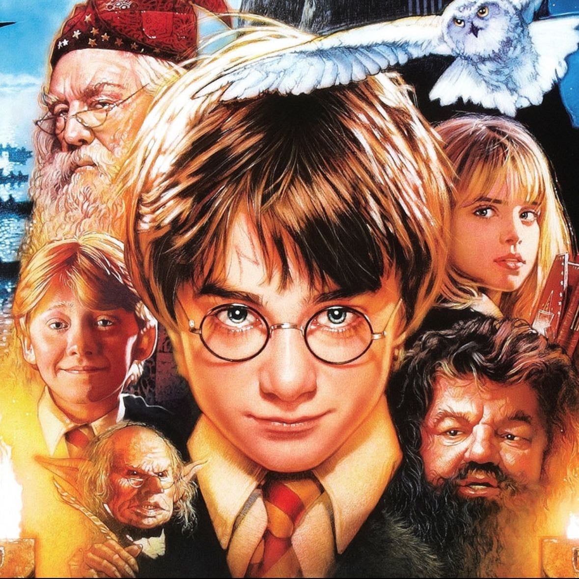 HARRY POTTER - (toda la saga)