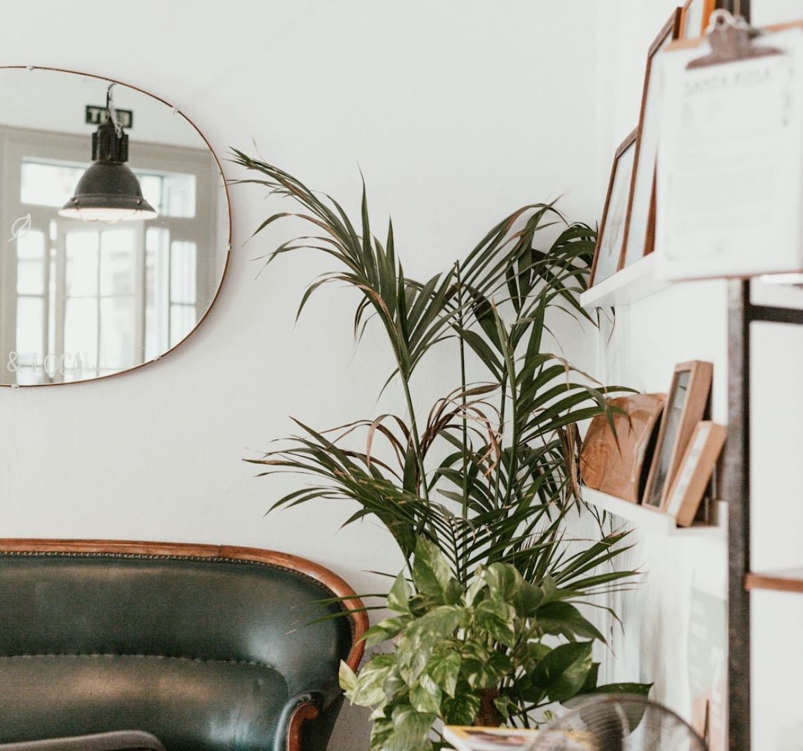 House - Links hypelist by Alicia Rivaux