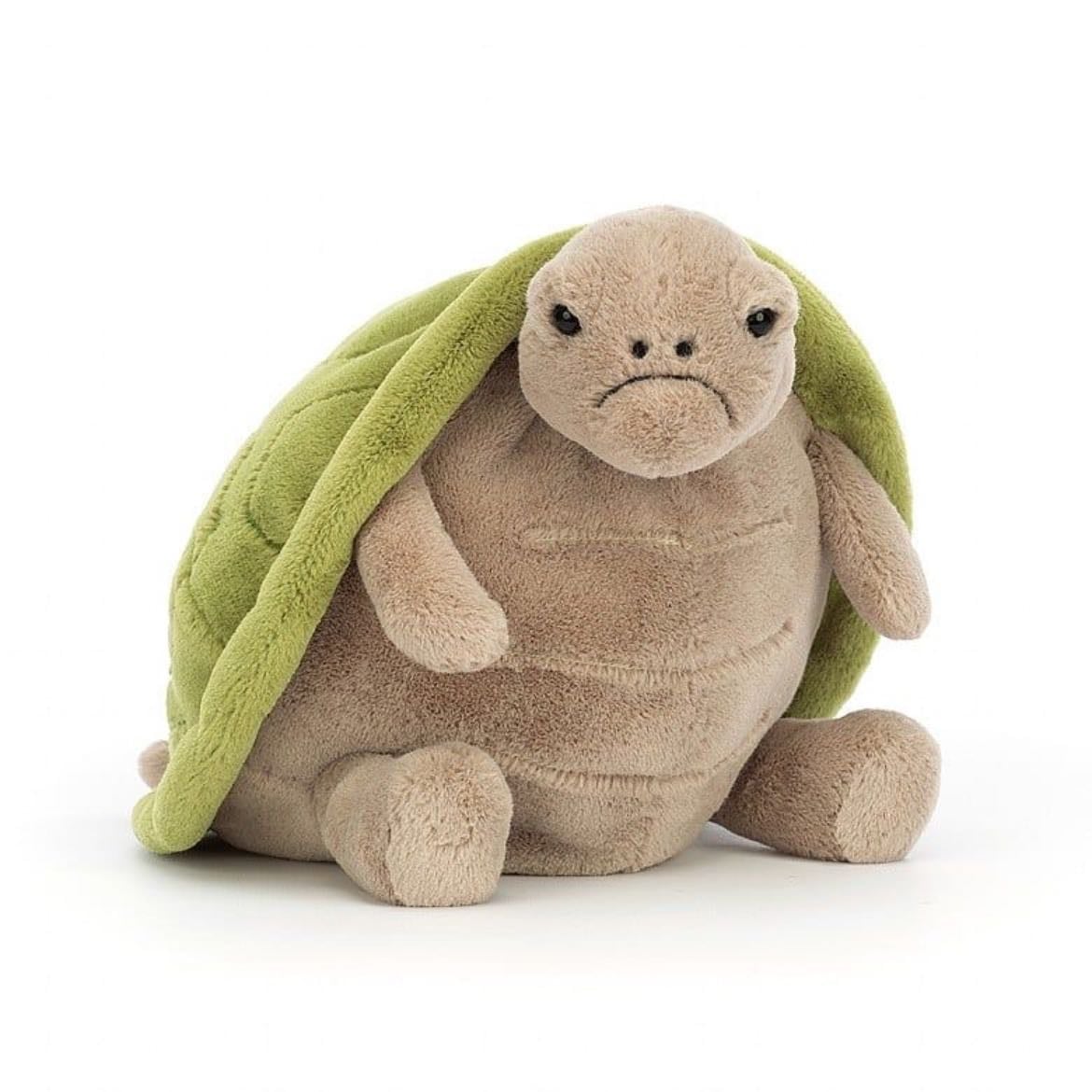 Timmy turtle - He’s so mad
