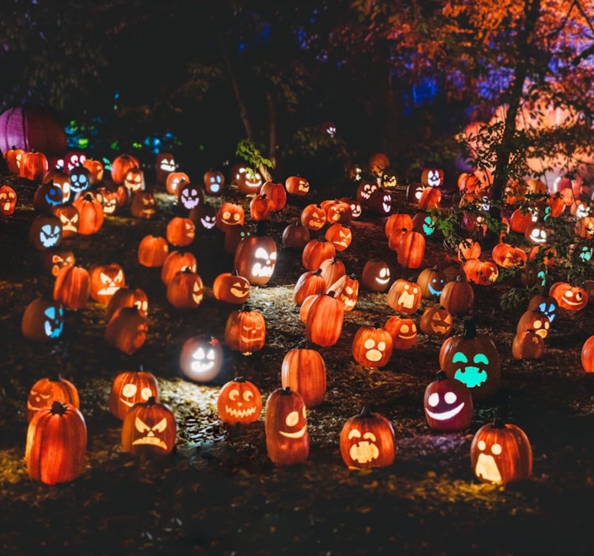 Classic Halloween Movies