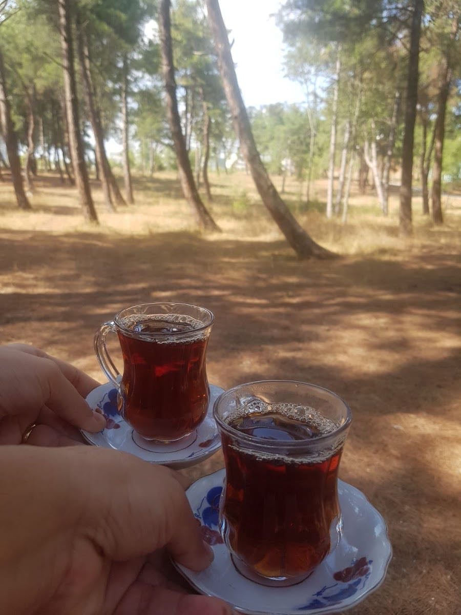 Atatürk Orman Çiftliği