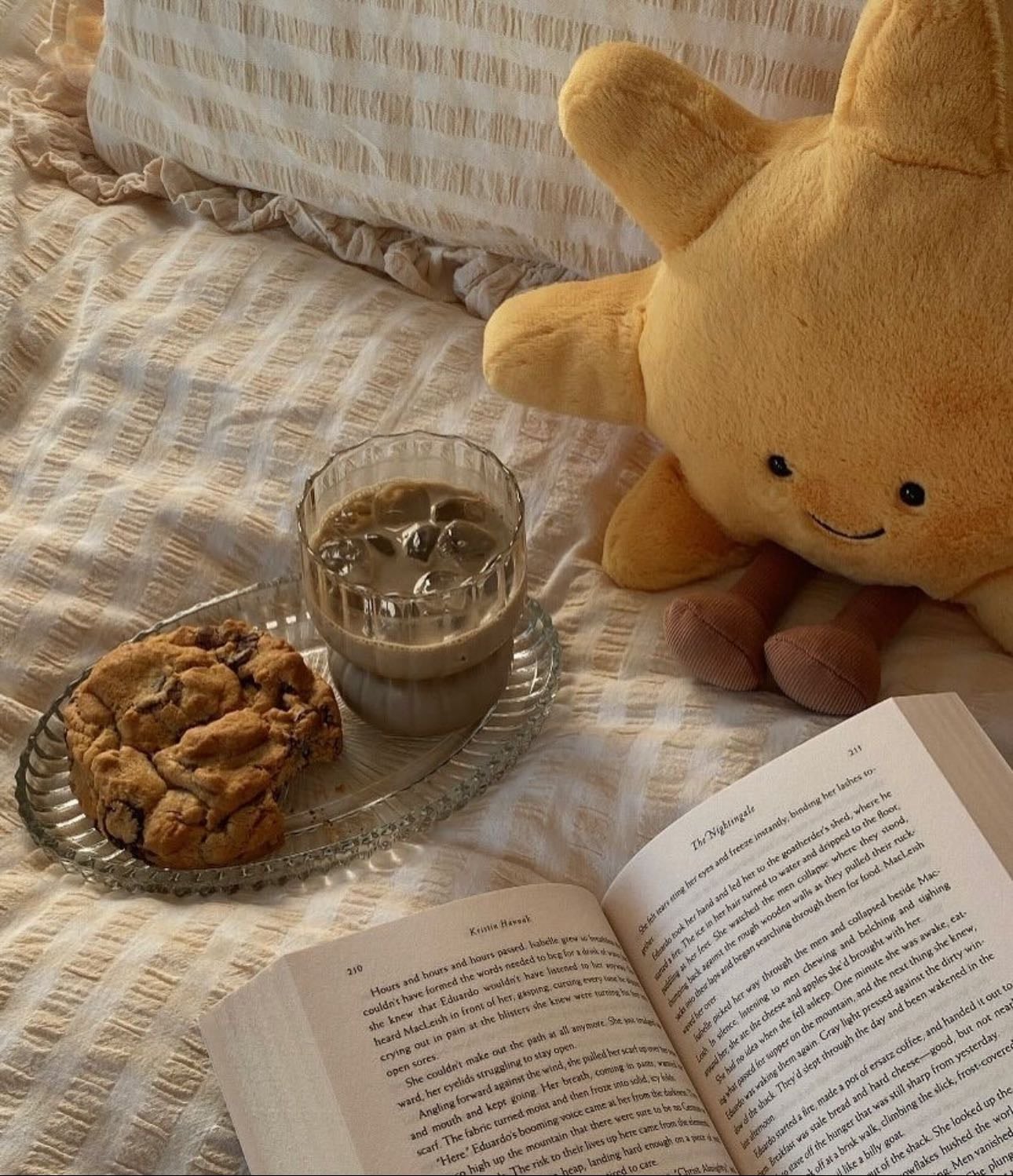 jellycats ★