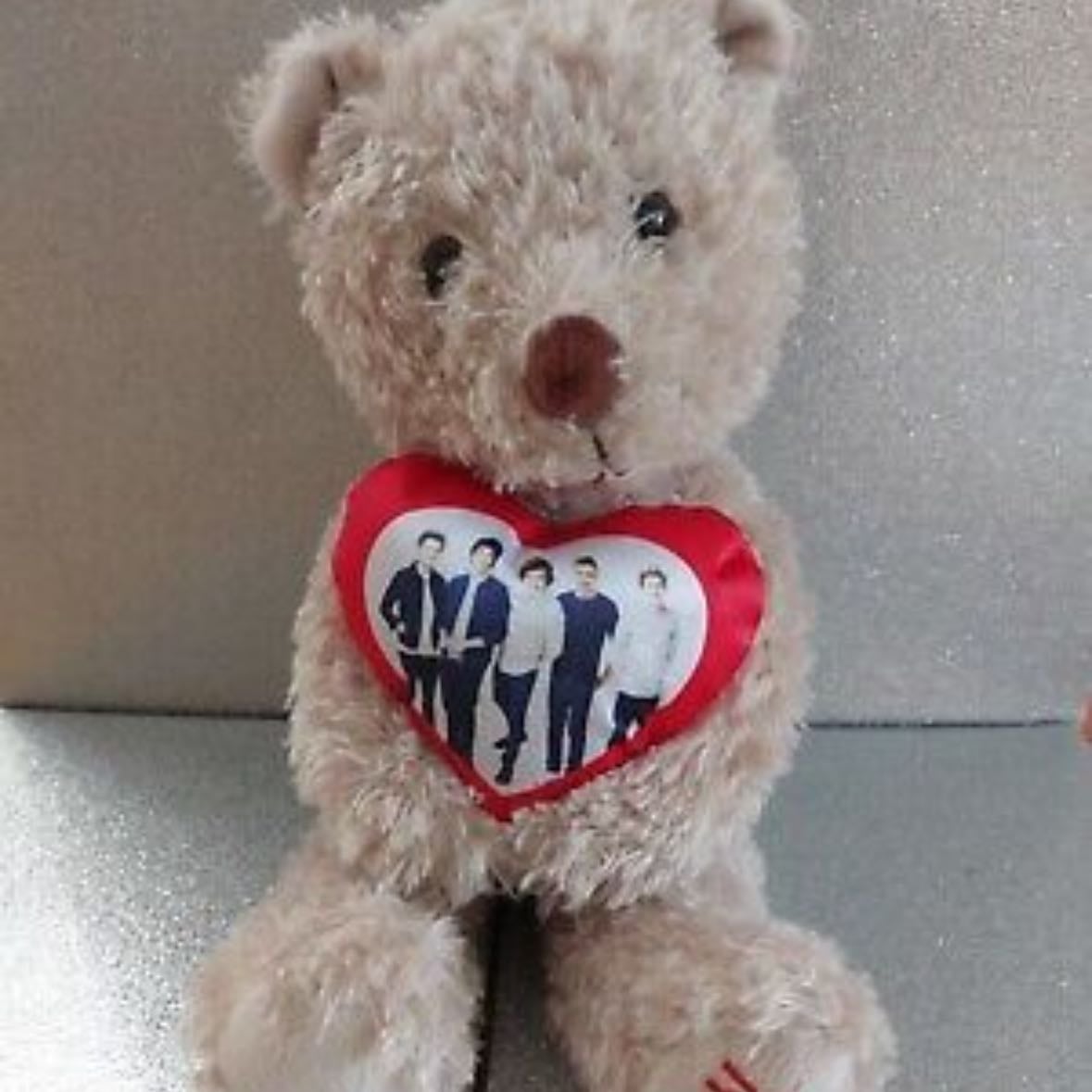 one direction teddy