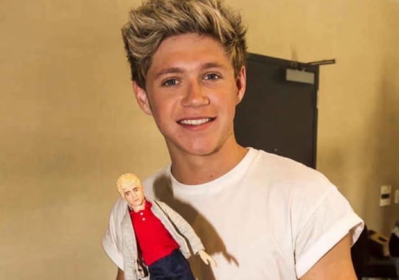 niall horan favs