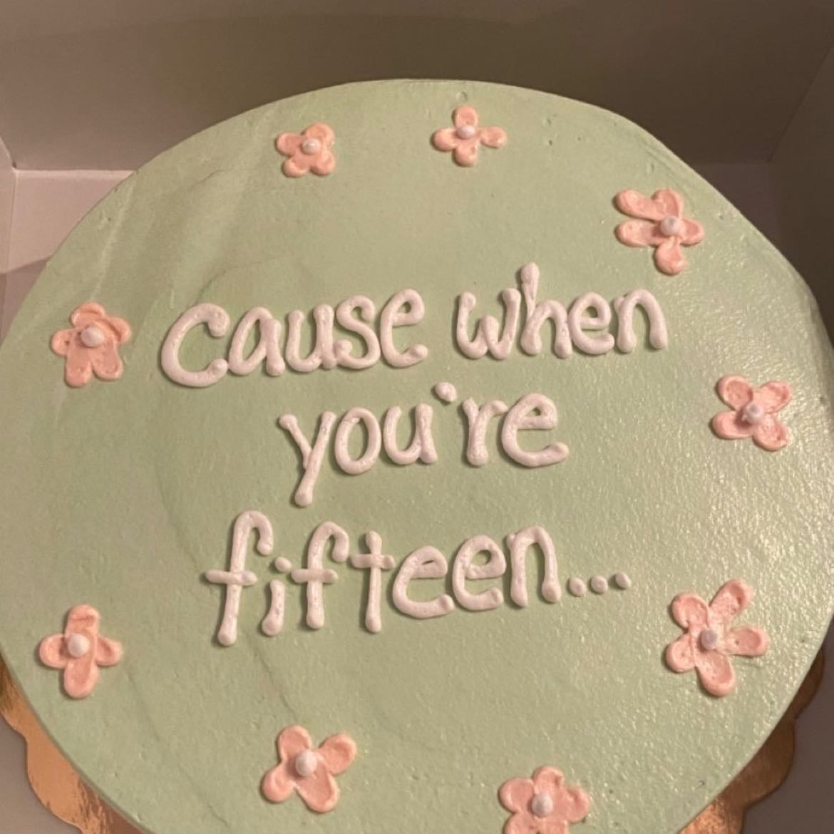 Cause when you’re fifteen. - Fifteen - Fearless