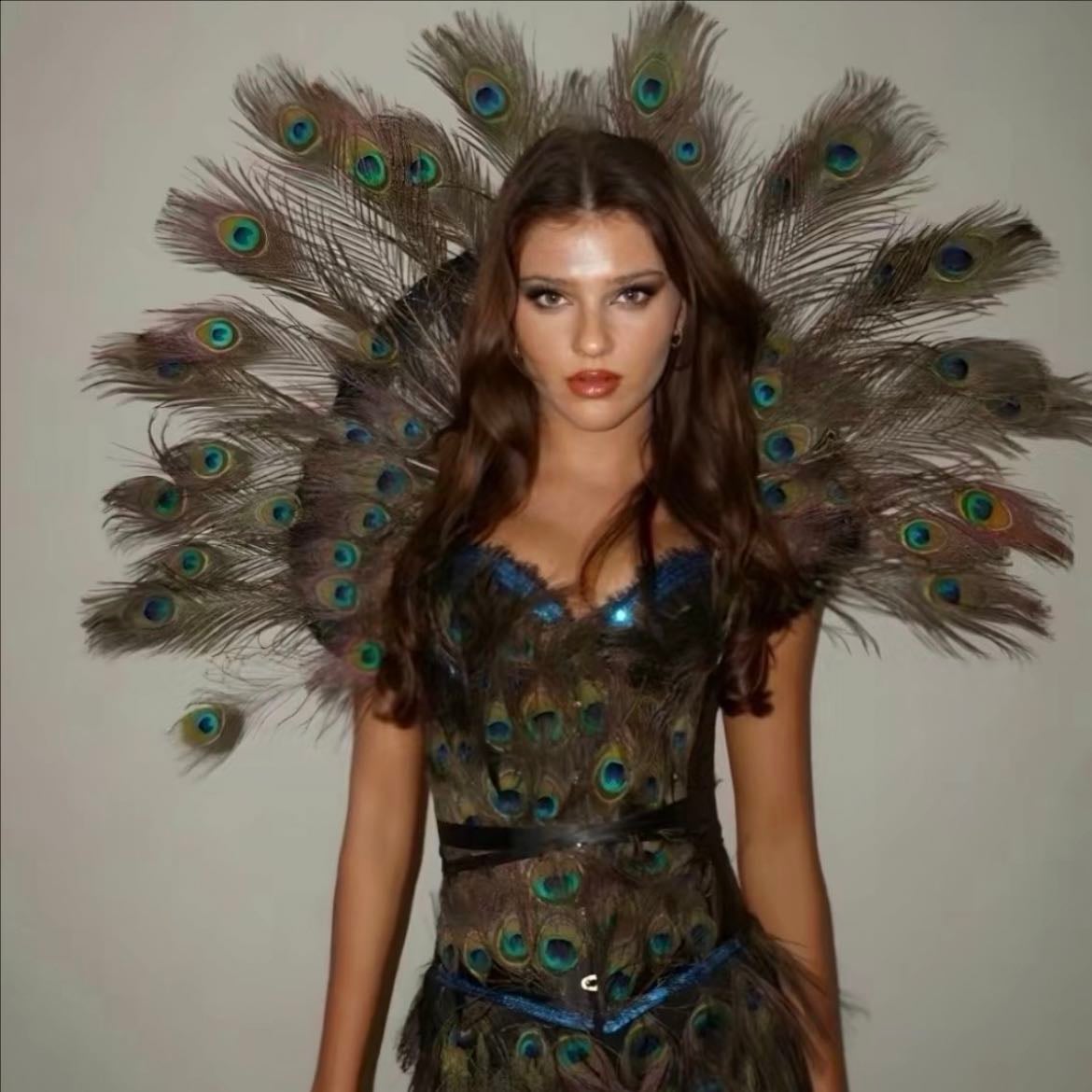 Pavo real