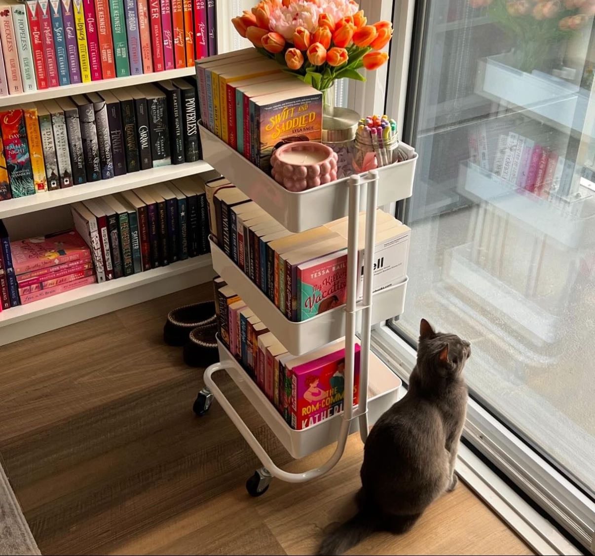 On my Shelf + Reading List
