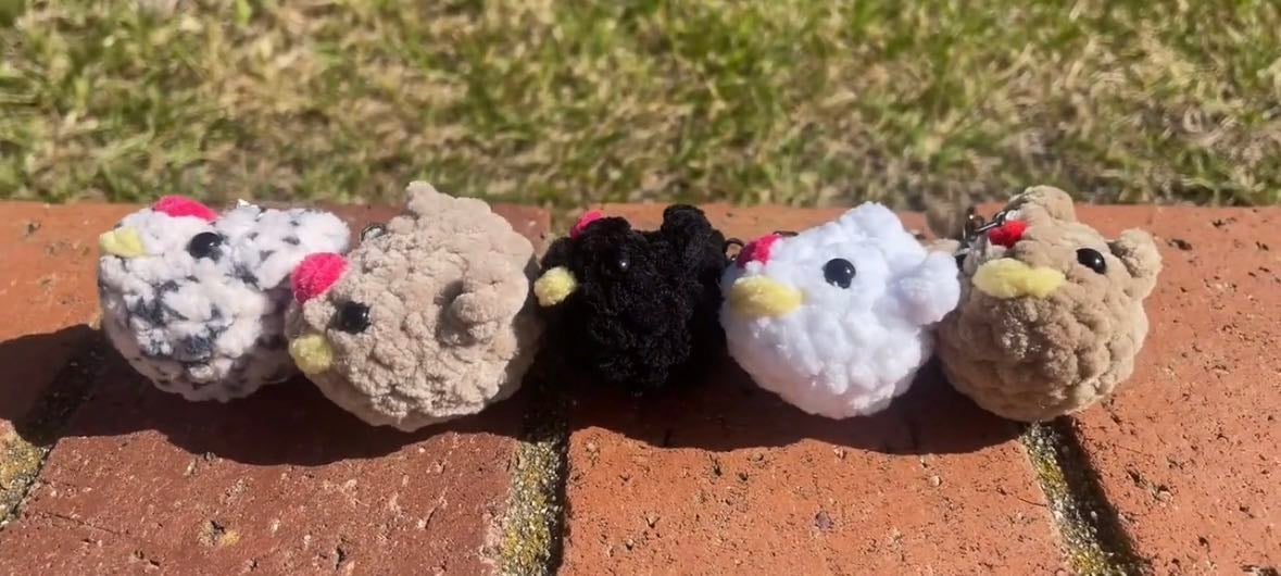 Mini chicken