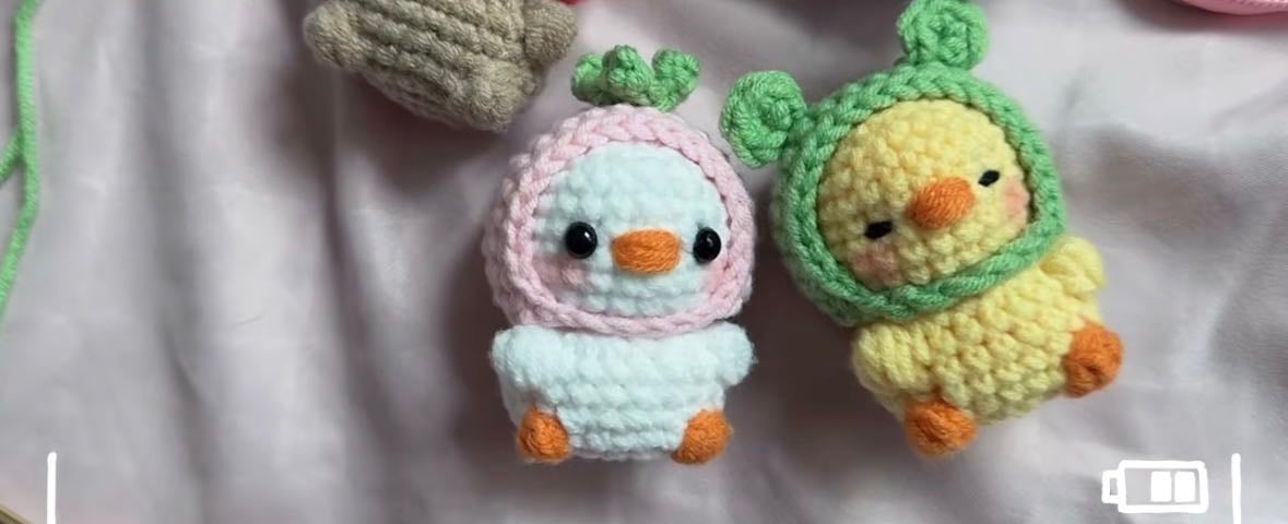 Animals with hat