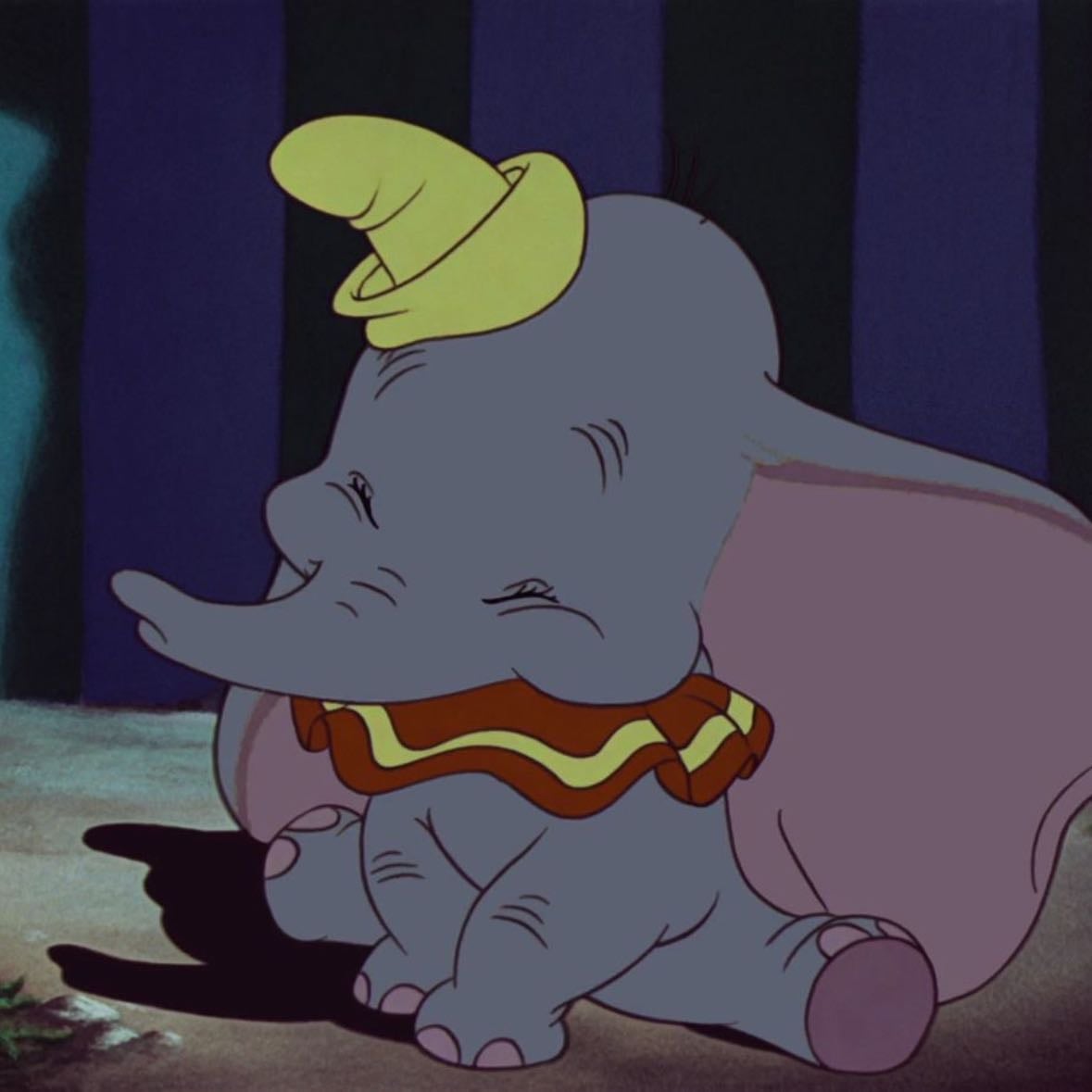 dumbo