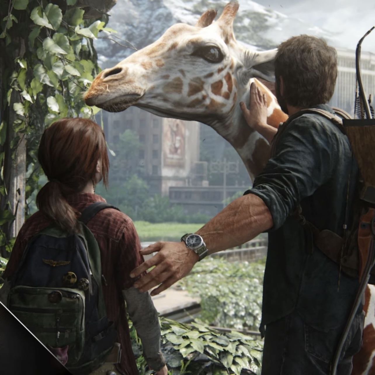 the last of us