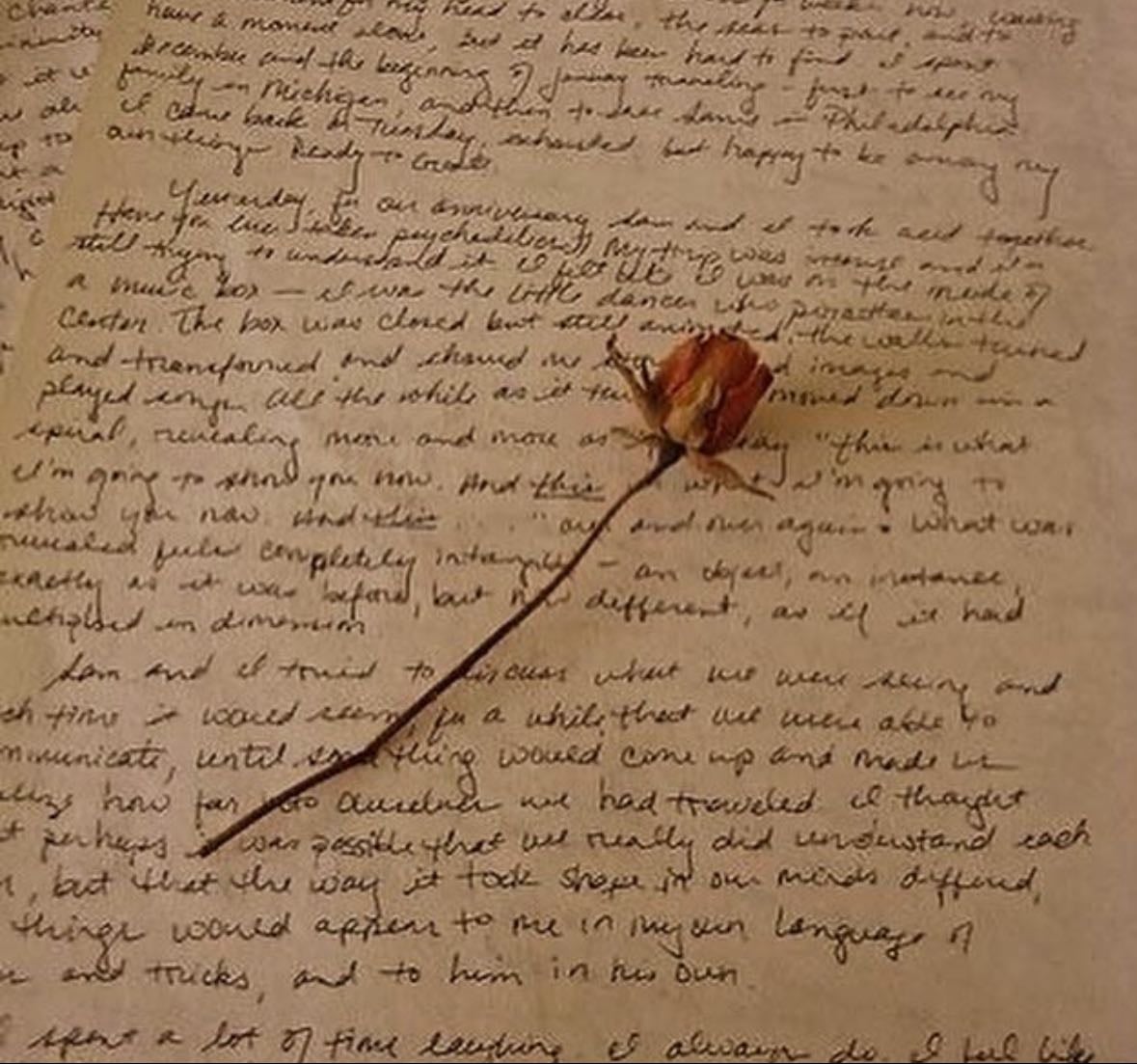 Gifts for the Introspective Muse
