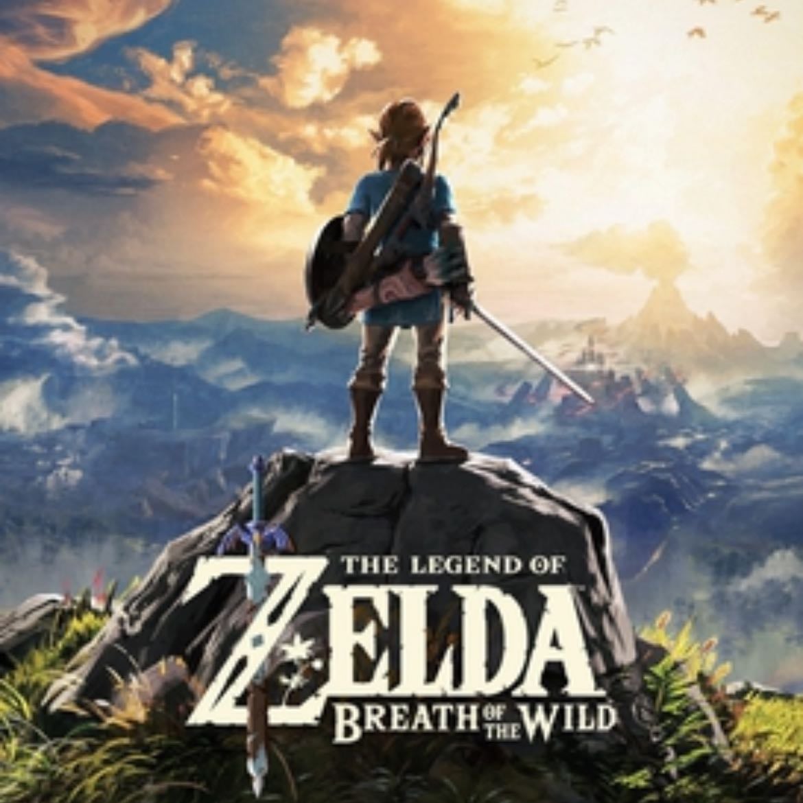 zelda breath of the wild