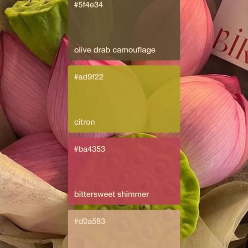 Colorimetría - (Fondo, stikers, fotos, tipografía)