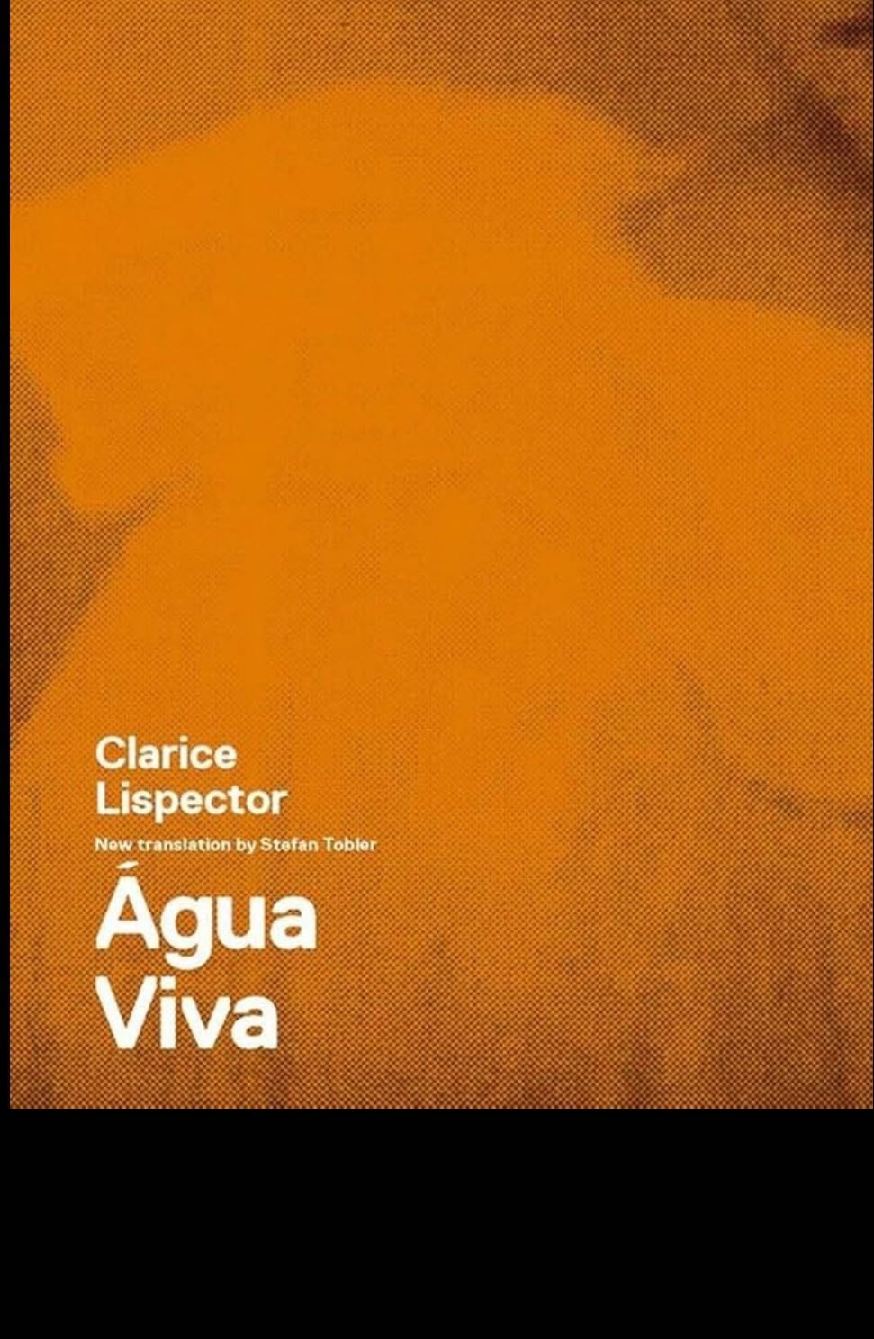 Agua Viva - Clarice Lispector