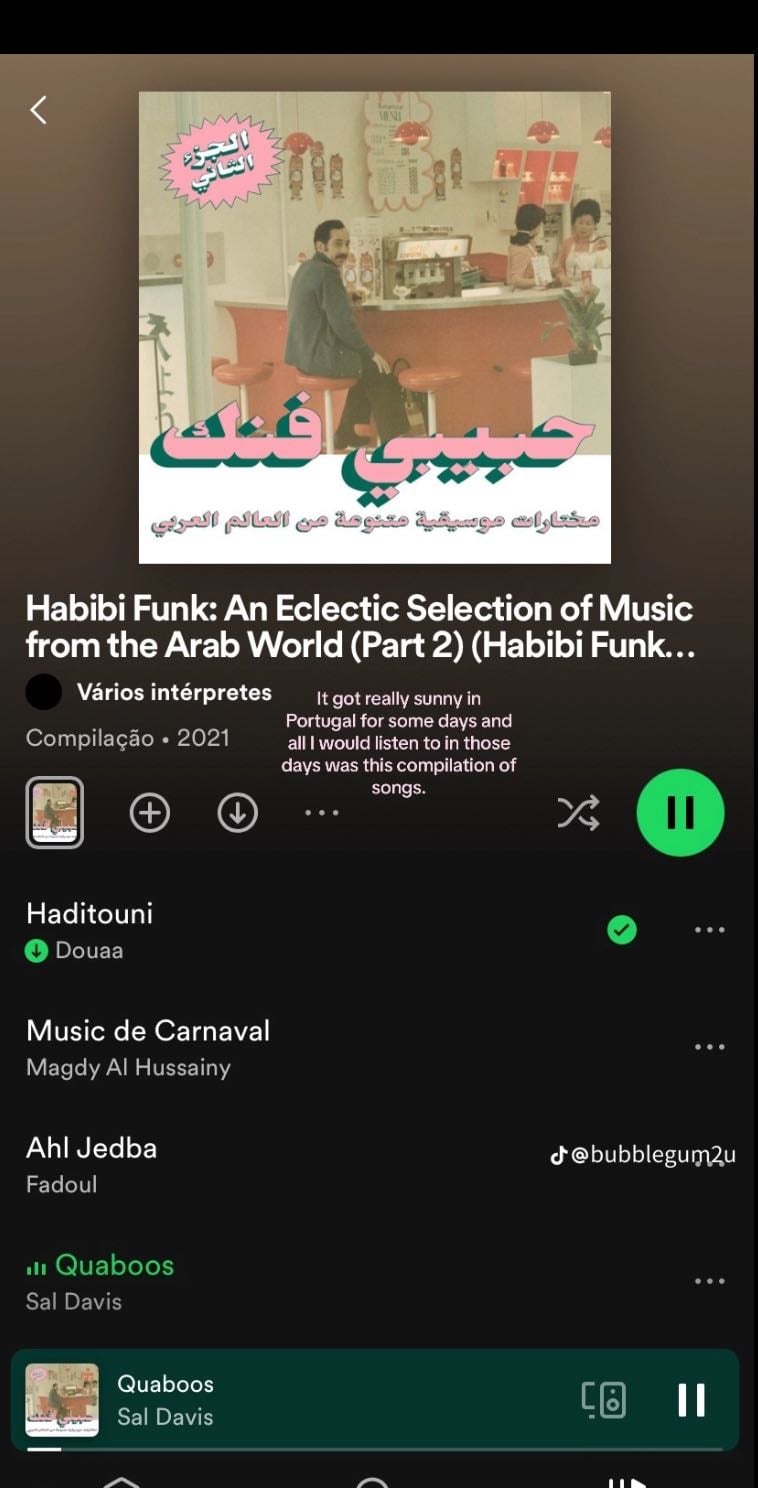 Habibi funk - An eclectic selection of music from the arab world